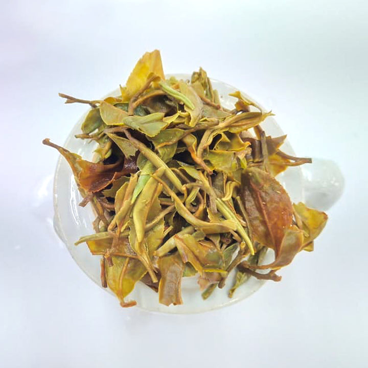 Darjeeling Risheehat Moonshine First Flush 2026 – Rare Organic Spring Harvest