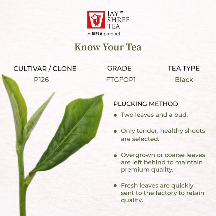 Mangalam Summer Symphony  Second Flush 2026 – Signature Assam Tea