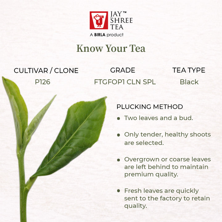 Mangalam FTGFOP1 SPL Second Flush 2026 – Signature Assam Tea