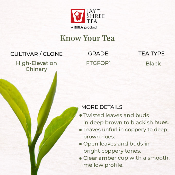 Darjeeling Turzum Obsidian Reserve Black Tea — Monsoon Flush 2026