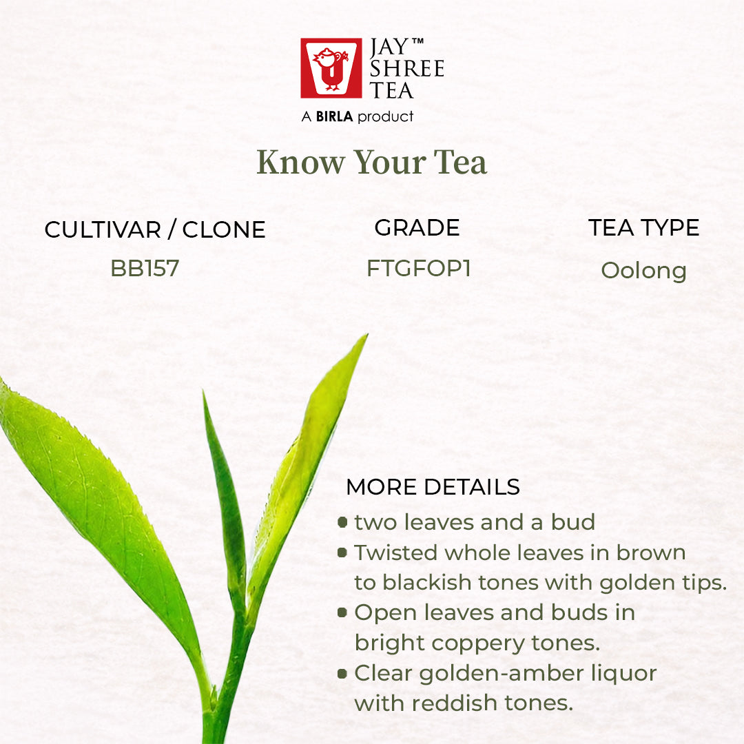 Darjeeling Turzum Himalayan Rosa Dark Oolong — Monsoon Flush 2026