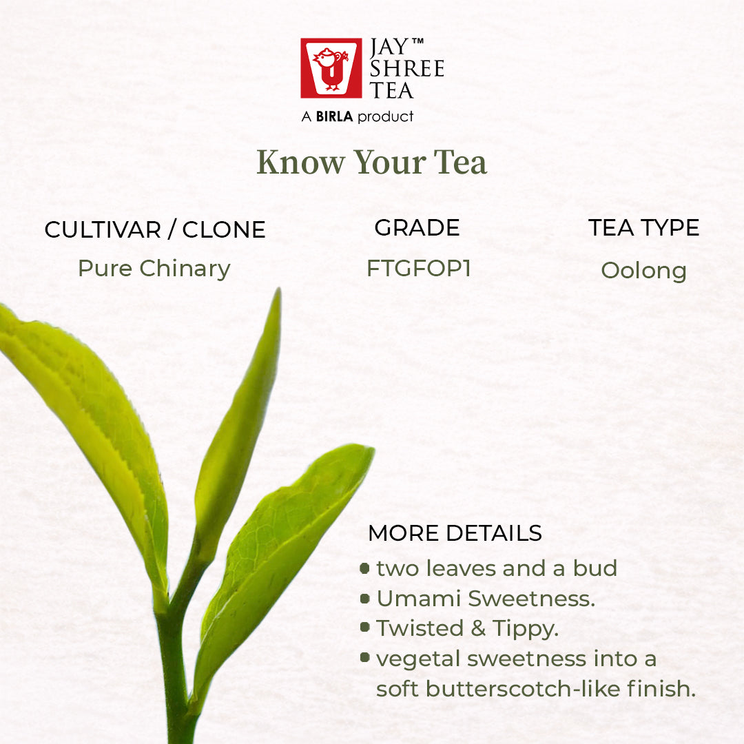 Darjeeling Turzum Rain on the Prairie Green Oolong — Monsoon Flush 2026