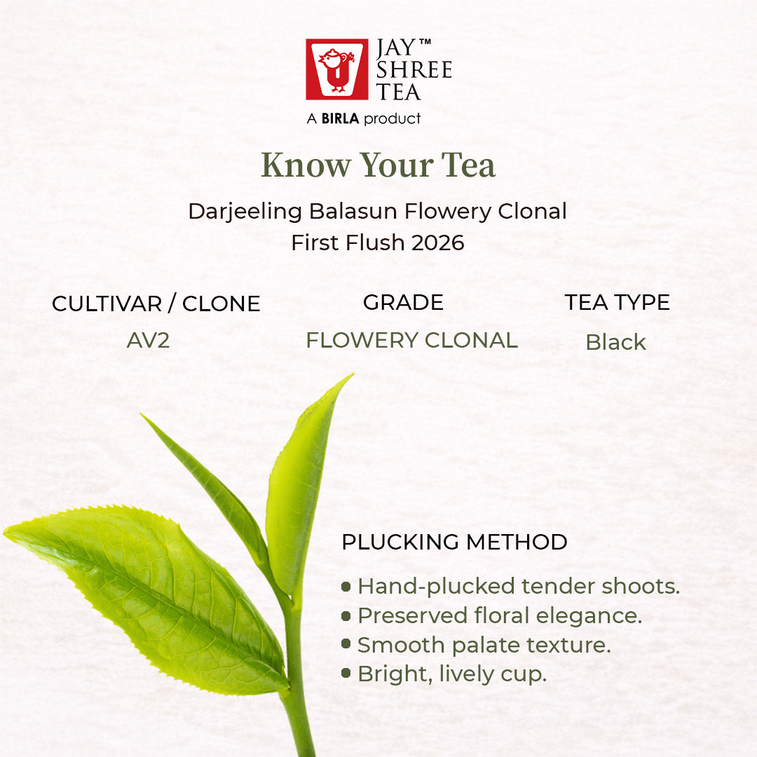 Darjeeling Balasun Flowery Clonal First Flush 2026 – “Prestige Micro Batch" – 4kg Only