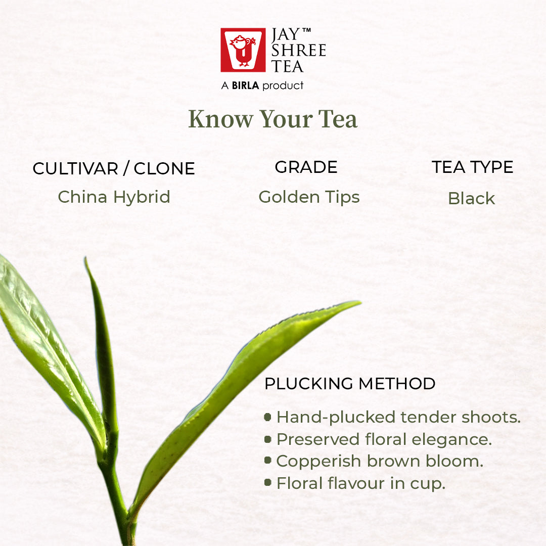 Darjeeling Turzum Golden Dragon - Second Flush  Black Tea  2026