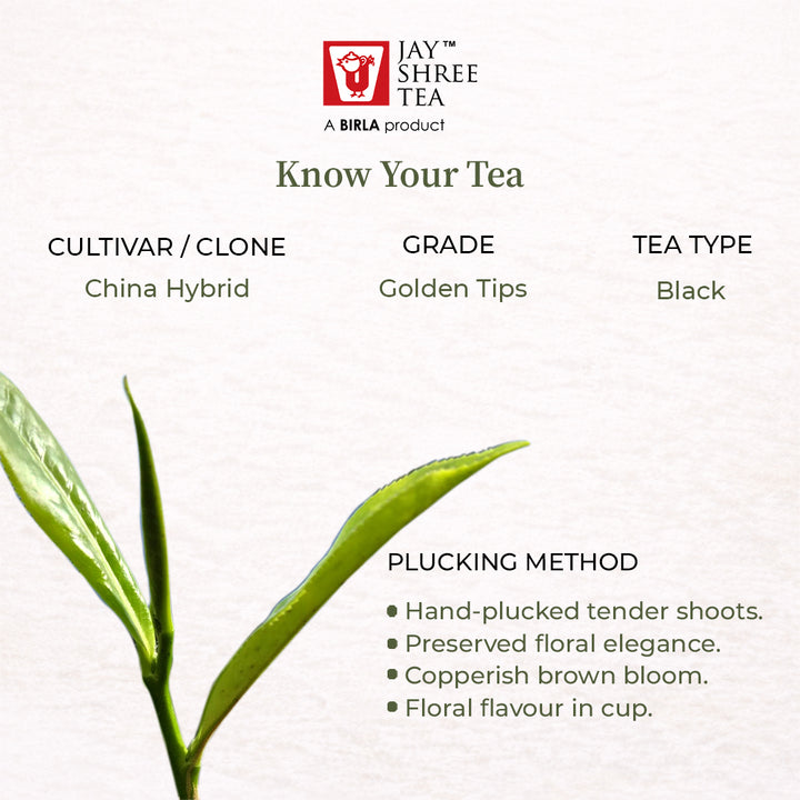 Darjeeling Turzum Golden Dragon - Second Flush  Black Tea  2026