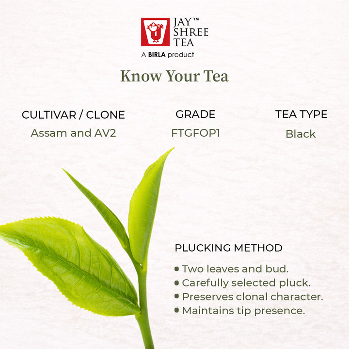 Darjeeling Balasun Midsummer Solstice Black Tea 2026