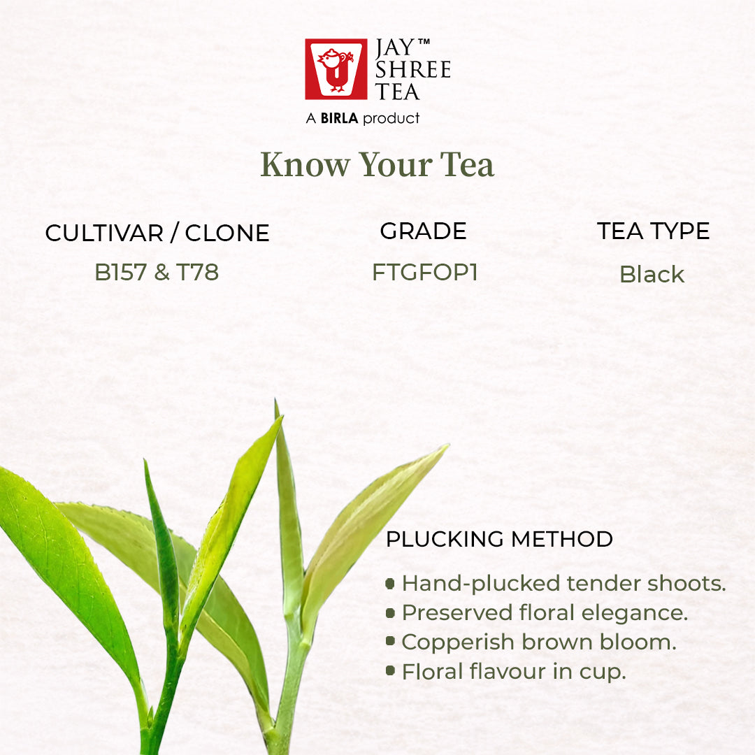 Darjeeling Turzum Wonder  Second Flush Black Tea 2026
