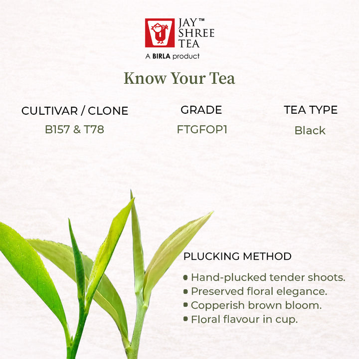 Darjeeling Turzum Wonder  Second Flush Black Tea 2026