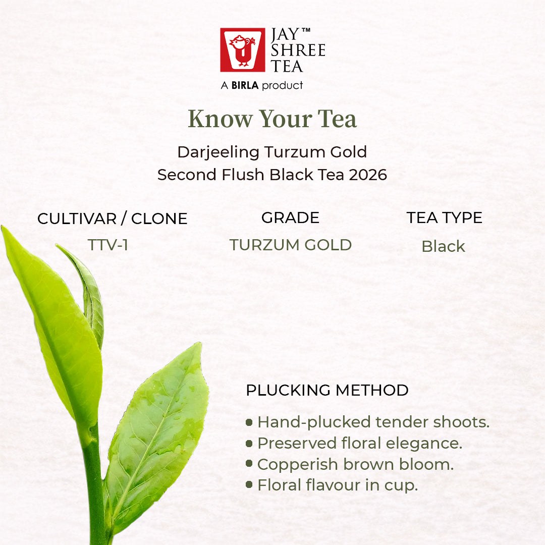 Turzum Gold – Darjeeling Second Flush 2026