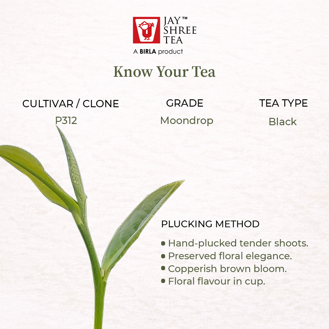 Darjeeling Turzum  Moondrop Black Tea 2026