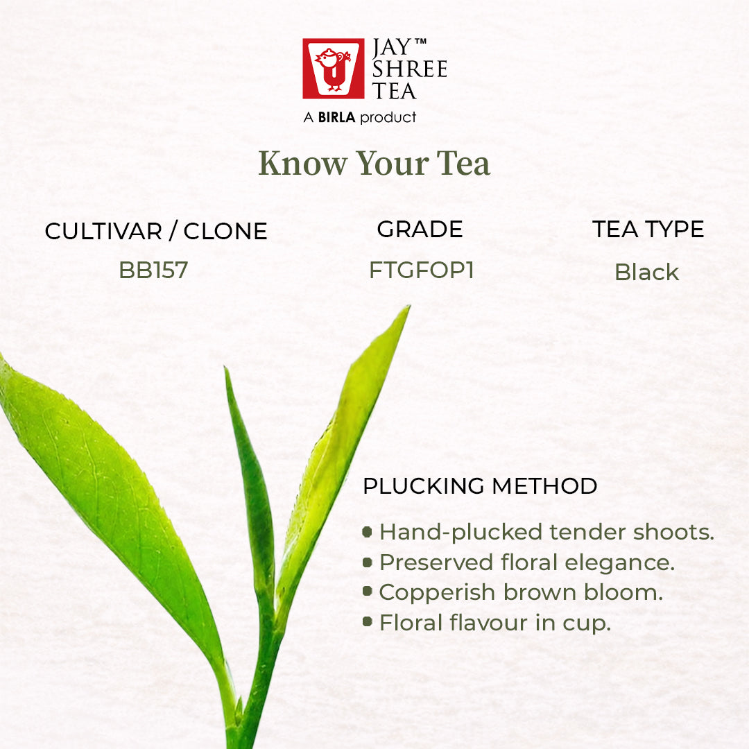 Darjeeling Turzum Himalyan Odyssey Second Flush  Black Tea  2026