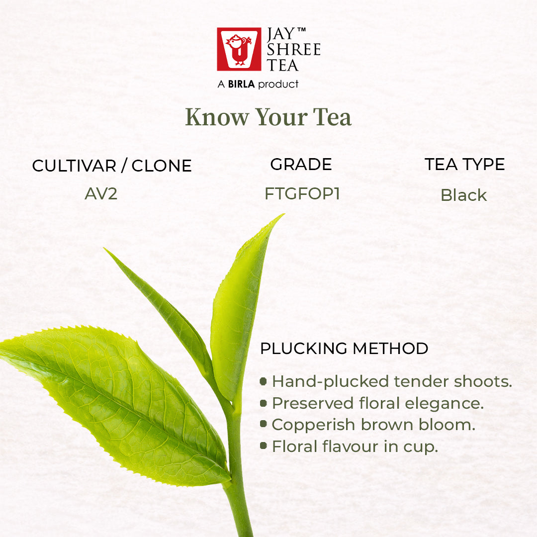 Darjeeling Turzum Summer Beauty Black Tea 2026