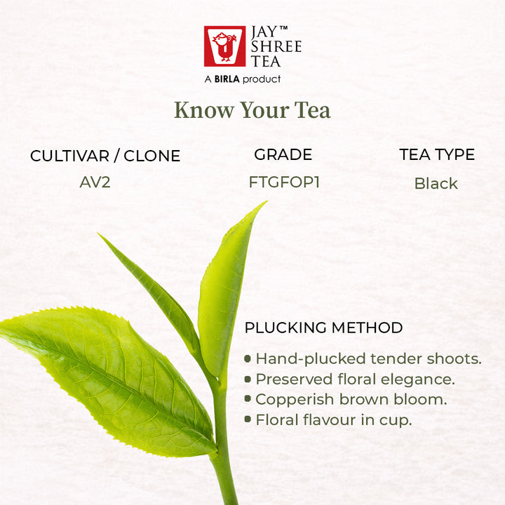 Darjeeling Turzum Summer Beauty Black Tea 2026