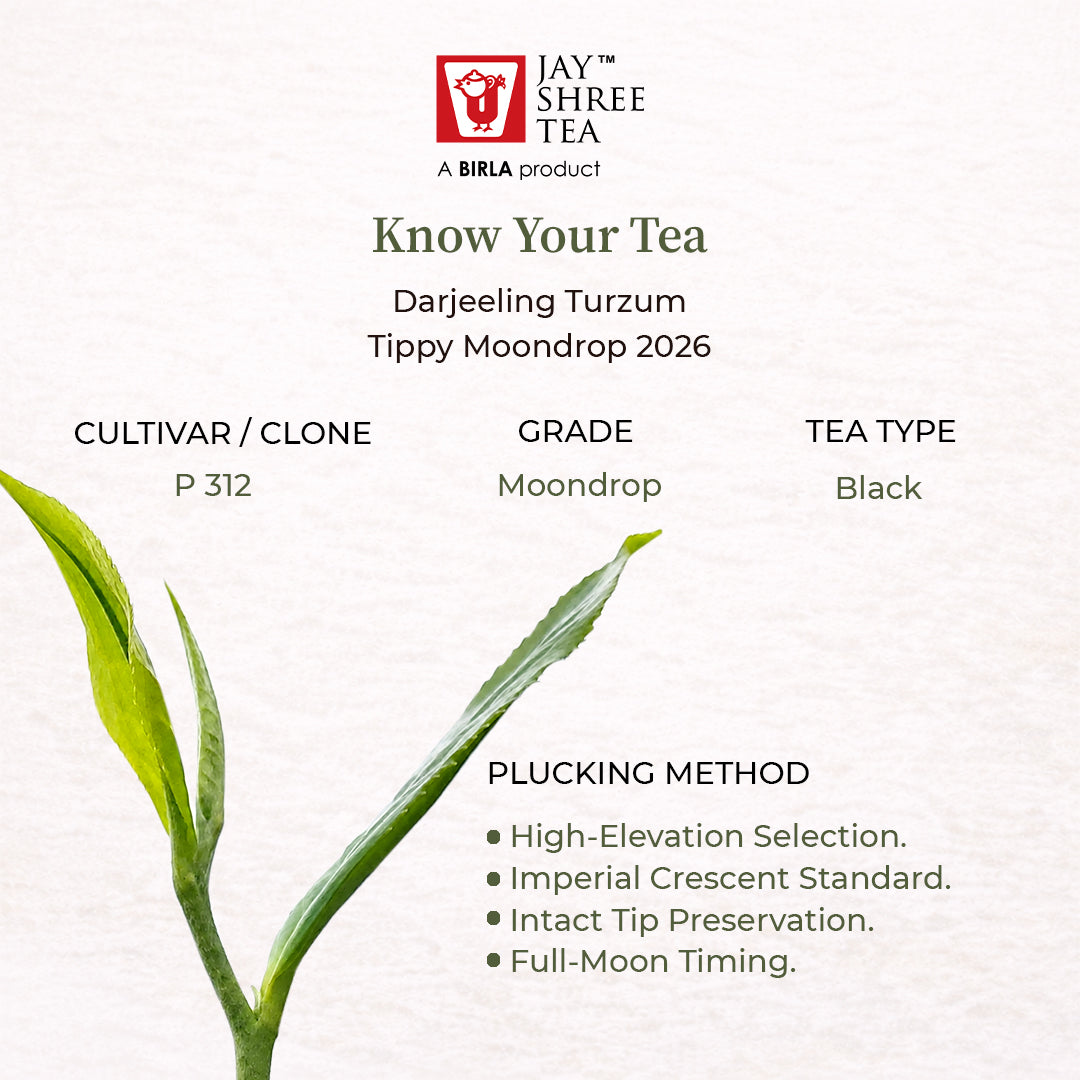 Darjeeling Turzum  Tippy Moondrop  Black Tea 2026