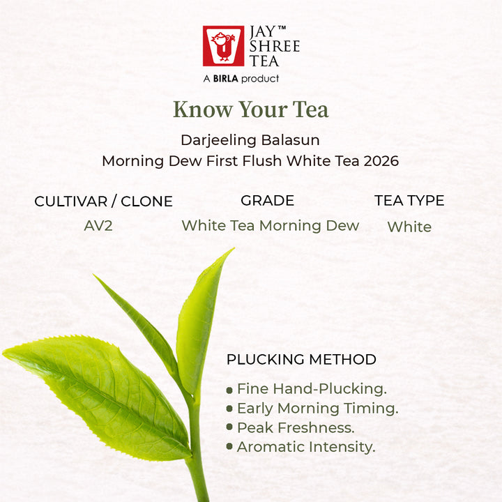 Darjeeling Balasun Morning Dew First Flush White Tea 2026