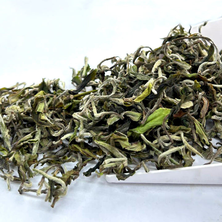 Darjeeling Risheehat Moonshine  Organic First Flush  2026 – Limited Edition