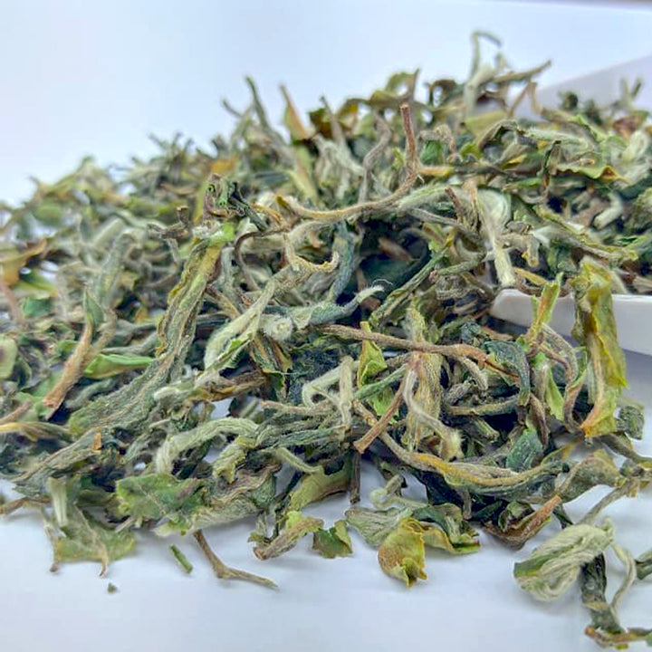 Darjeeling Puttabong Mondrop First Flush  Black Tea 2026