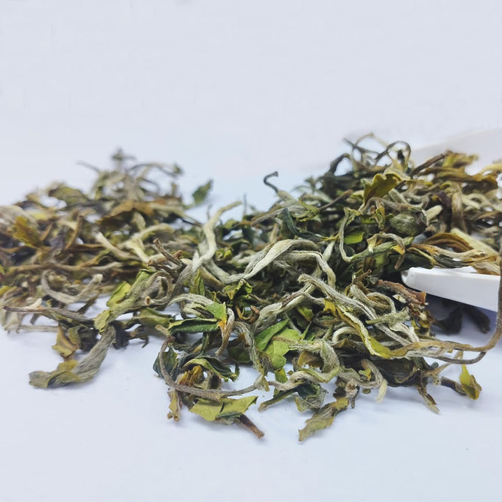 Darjeeling Balasun Flowery Clonal First Flush 2026 – Award Reserve (3kg Only)