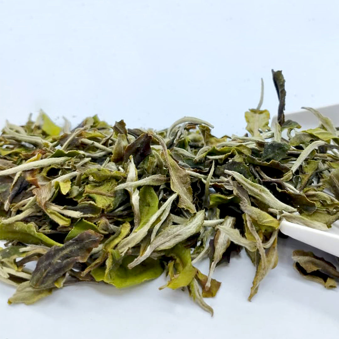 Darjeeling Balasun Morning Dew  First Flush White Tea 2026