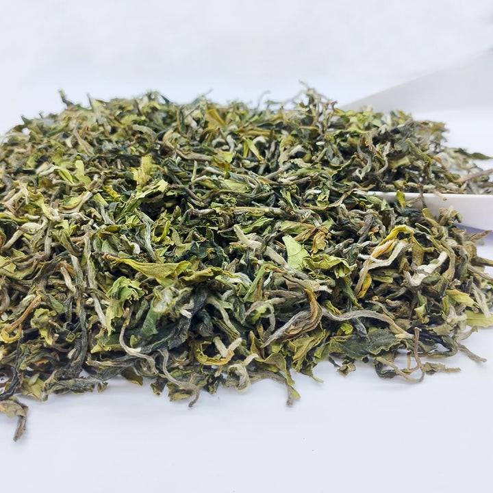 Darjeeling Puttabong First Flush 2026 – Flowery Clonal Spring Harvest Limited Edition