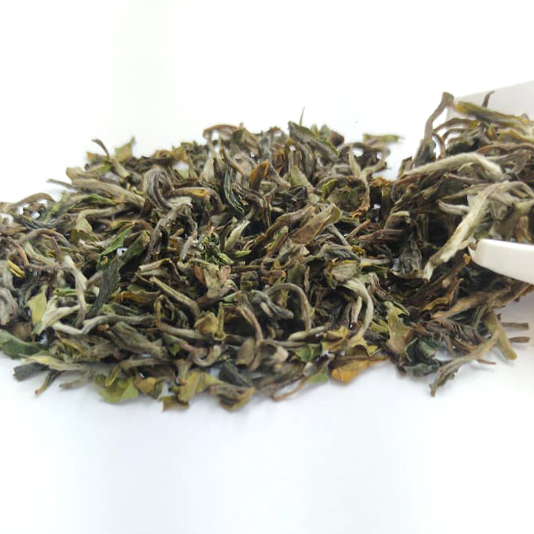 Darjeeling Turzum Flowery Clonal Black Tea 2026