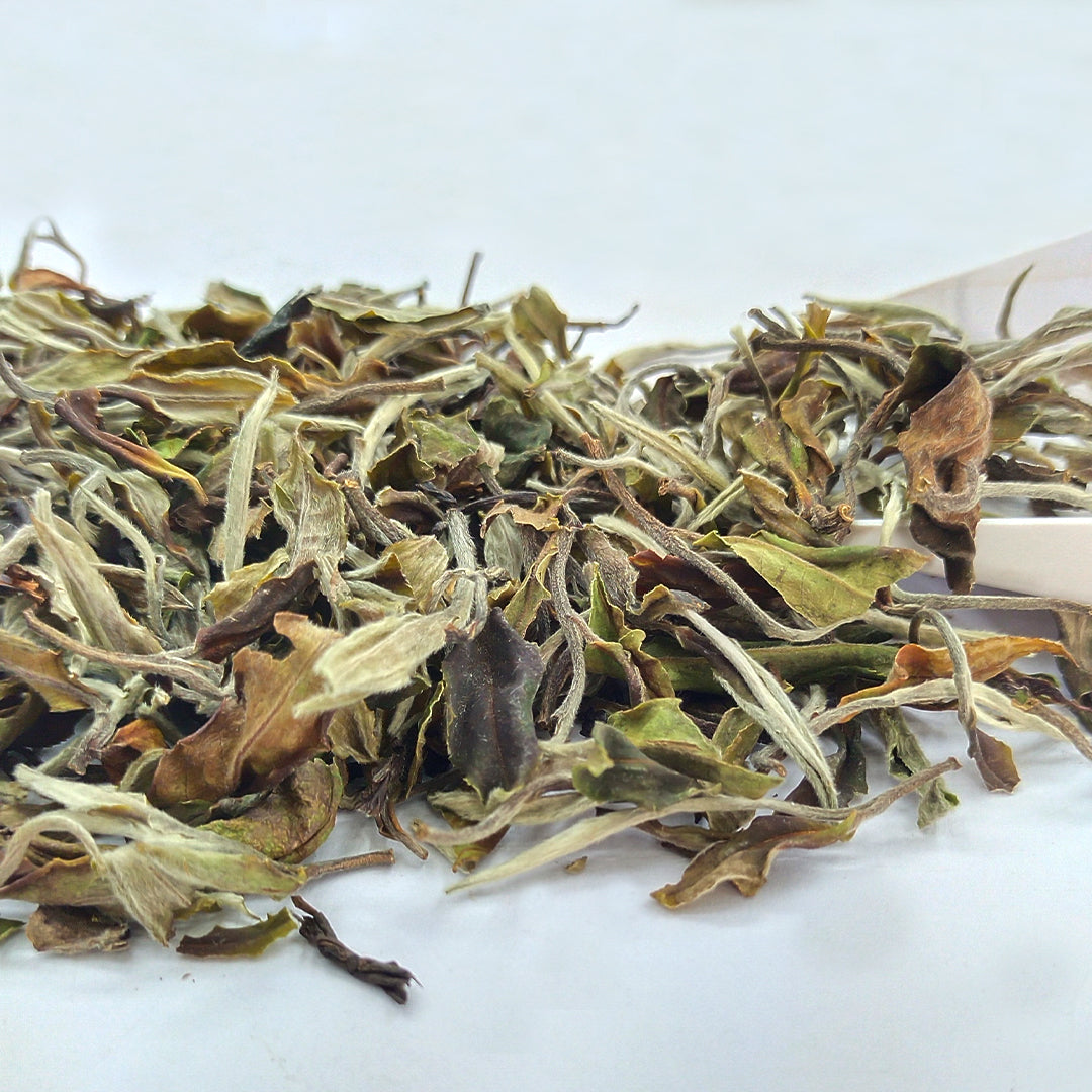 Lizahill White Tea 2026 –  First Flush Darjeeling Tea