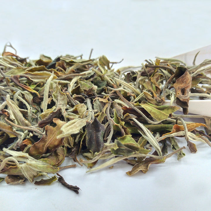 Lizahill White Tea 2026 –  First Flush Darjeeling Tea