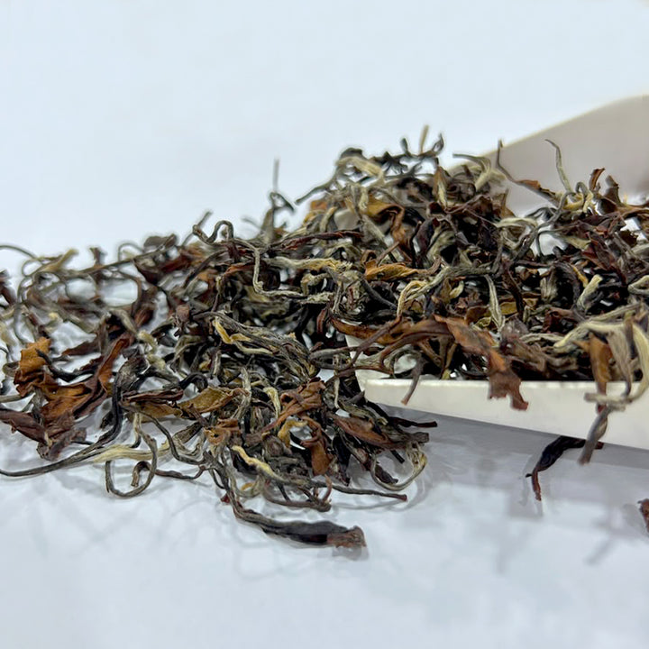 Turzum Signature Clonal Oolong – Darjeeling Second Flush 2026