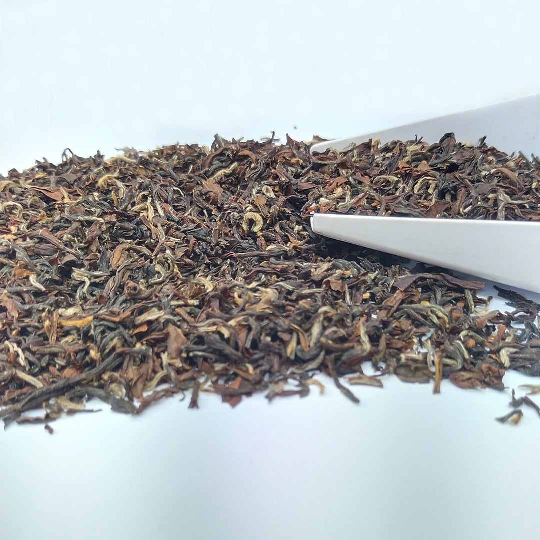 Darjeeling Turzum  Moondrop Black Tea 2026