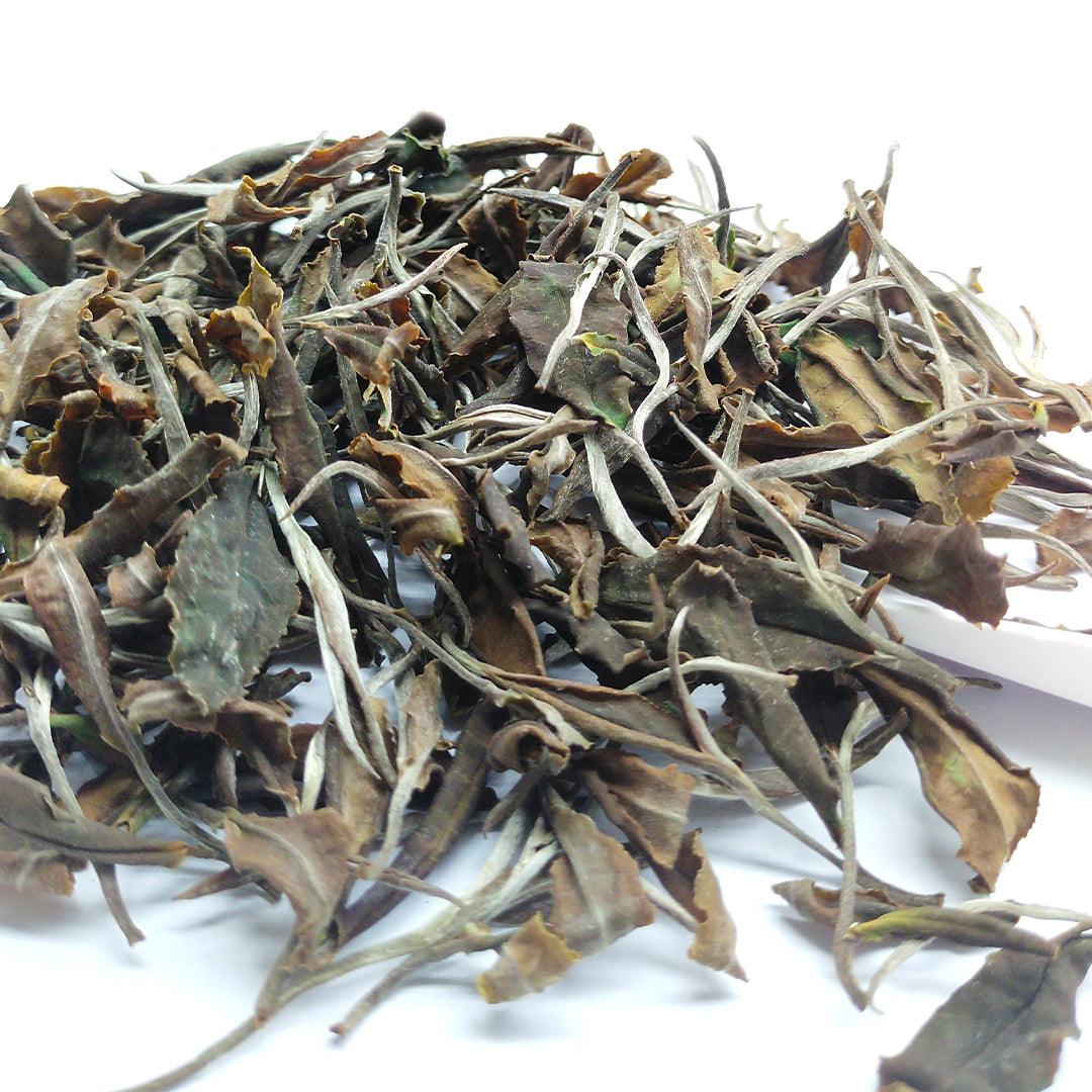 Mangalam Yue Guang Bai Styled White Tea  Second Flush 2026 – Signature Assam White Tea