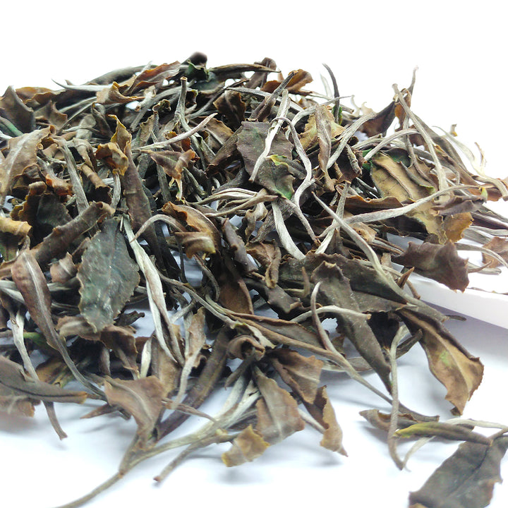 Mangalam Yue Guang Bai Styled White Tea  Second Flush 2026 – Signature Assam White Tea