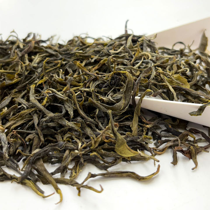 Darjeeling Turzum Rain on the Prairie Green Oolong — Monsoon Flush 2026