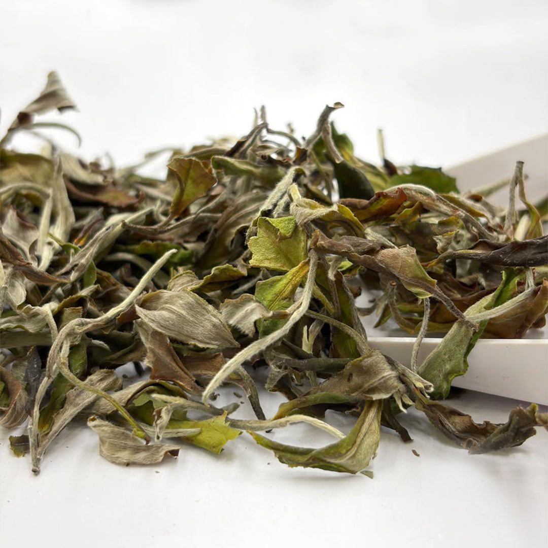 Darjeeling Turzum Alpine Bloom White Oolong — Monsoon Flush 2026