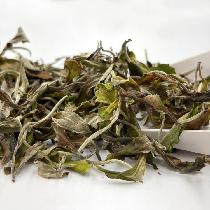Darjeeling Turzum Alpine Bloom White Oolong — Monsoon Flush 2026