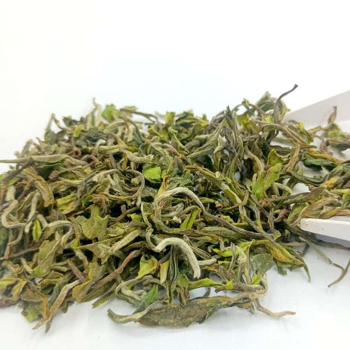 Darjeeling Turzum Enigma Imperial Reserve First Flush 2026