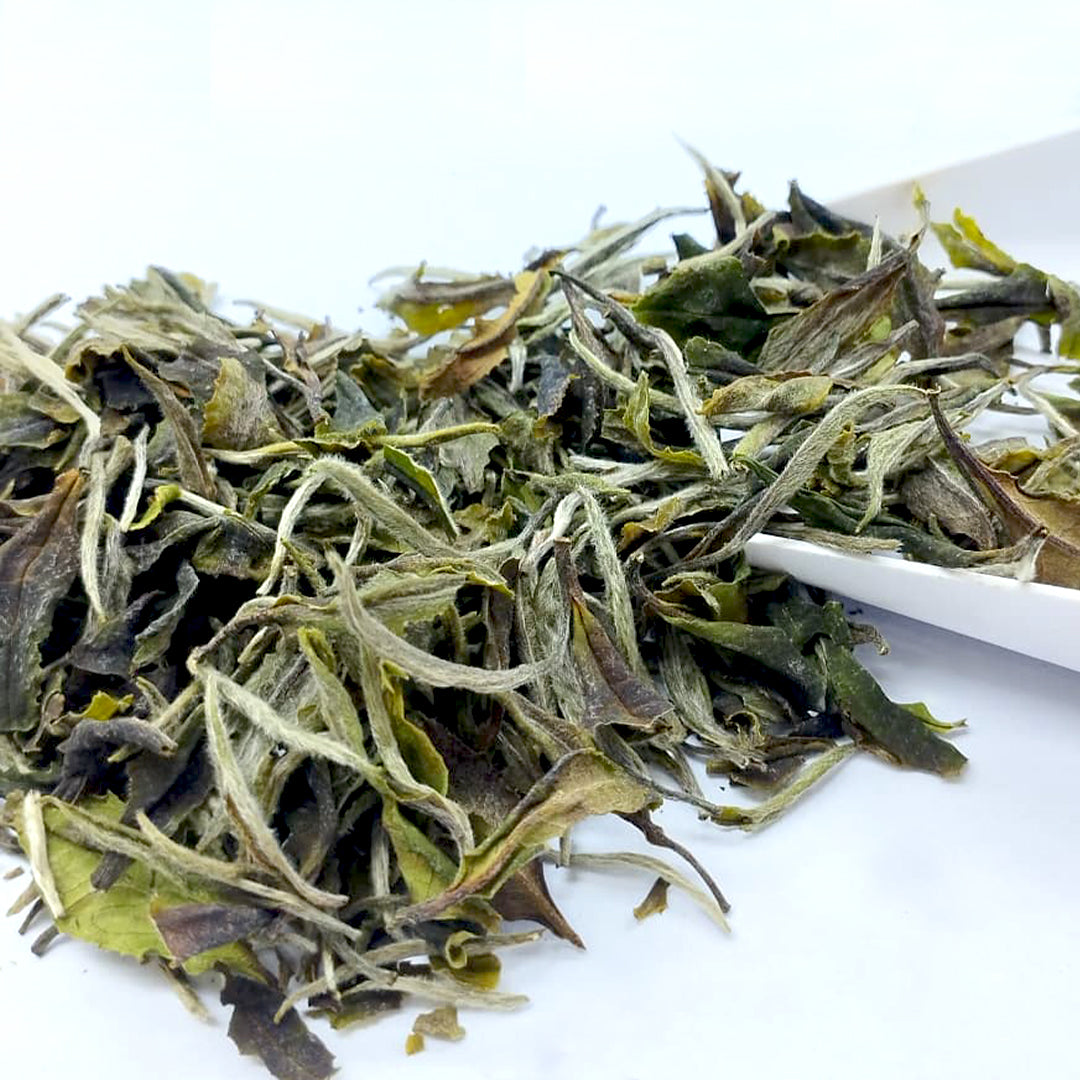Darjeeling Turzum Spring Petrichor First Flush 2026 – Connoisseur's Reserve