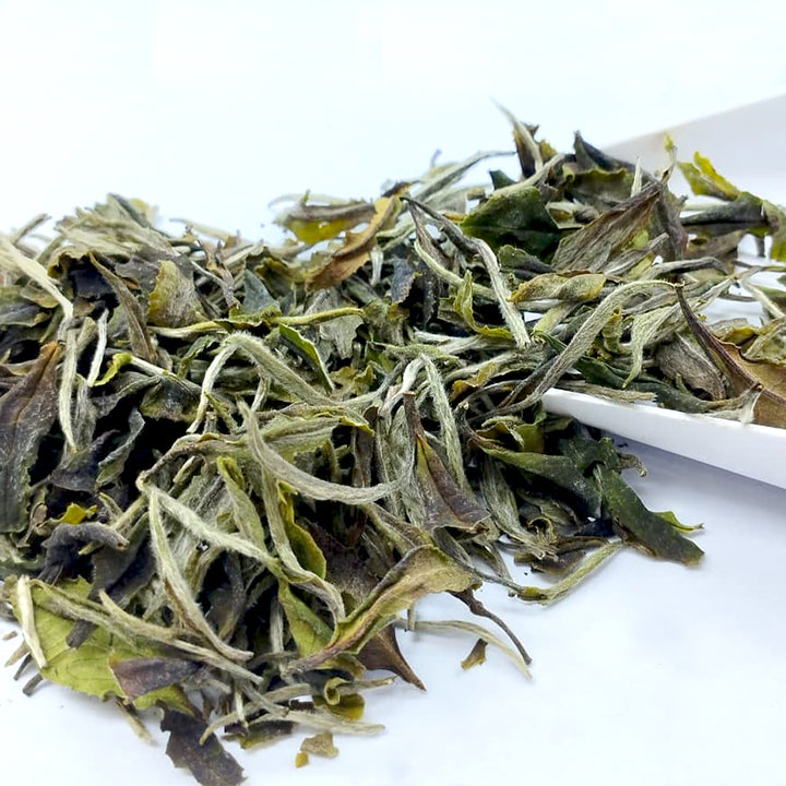 Darjeeling Turzum Spring Petrichor First Flush 2026 – Connoisseur's Reserve