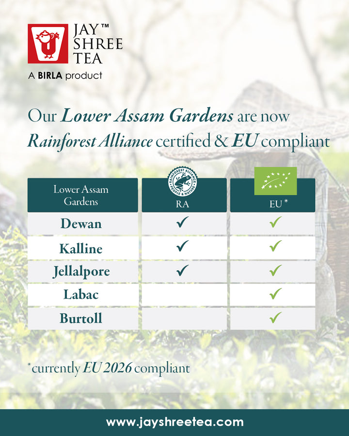 Assam Kalline Gold Second Flush  CTC Tea 2025