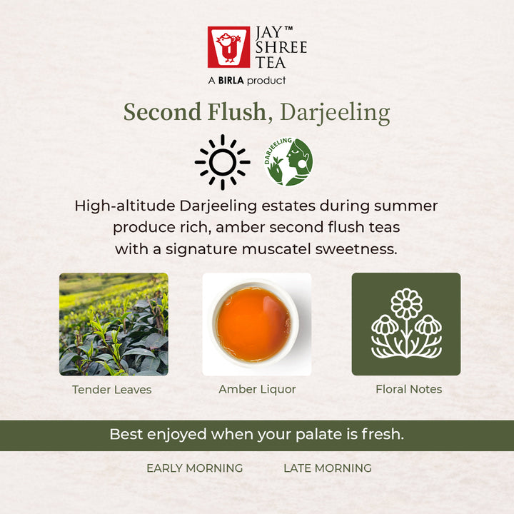 Turzum Beauty Signature Harvest – Darjeeling Second Flush 2026