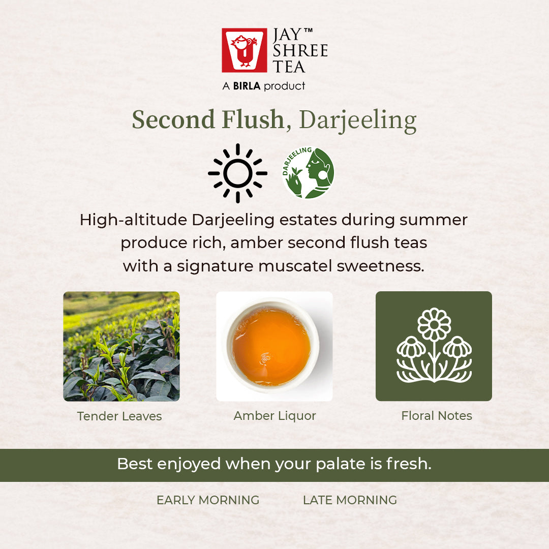Darjeeling Turzum  Tippy Moondrop  Black Tea 2026
