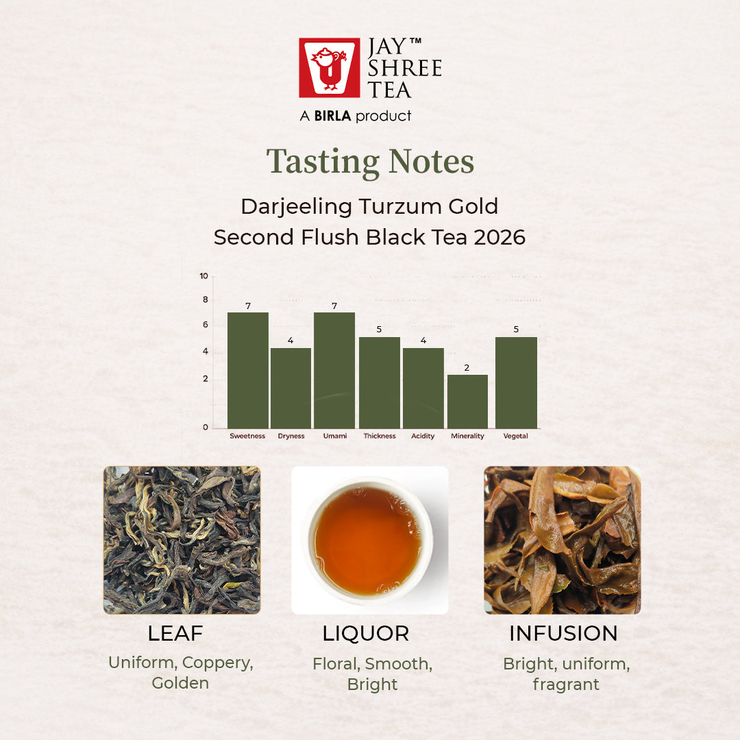 Turzum Gold – Darjeeling Second Flush 2026