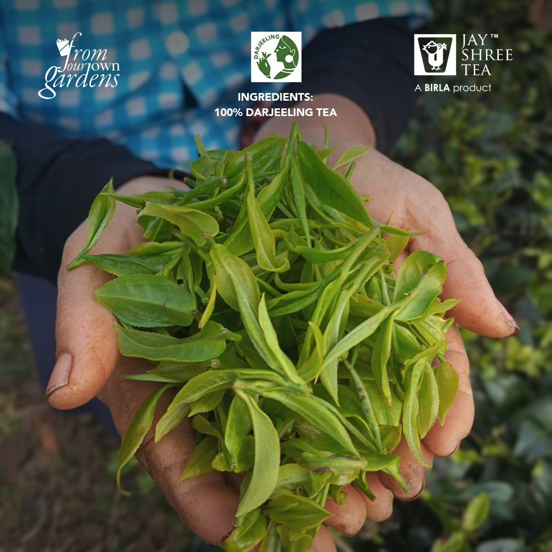 Darjeeling Puttabong First Flush 2026 – Moondrop Limited Edition 2026