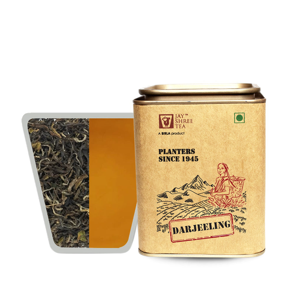 Darjeeling Turzum Spring Ambrosia First Flush 2026 Black Tea