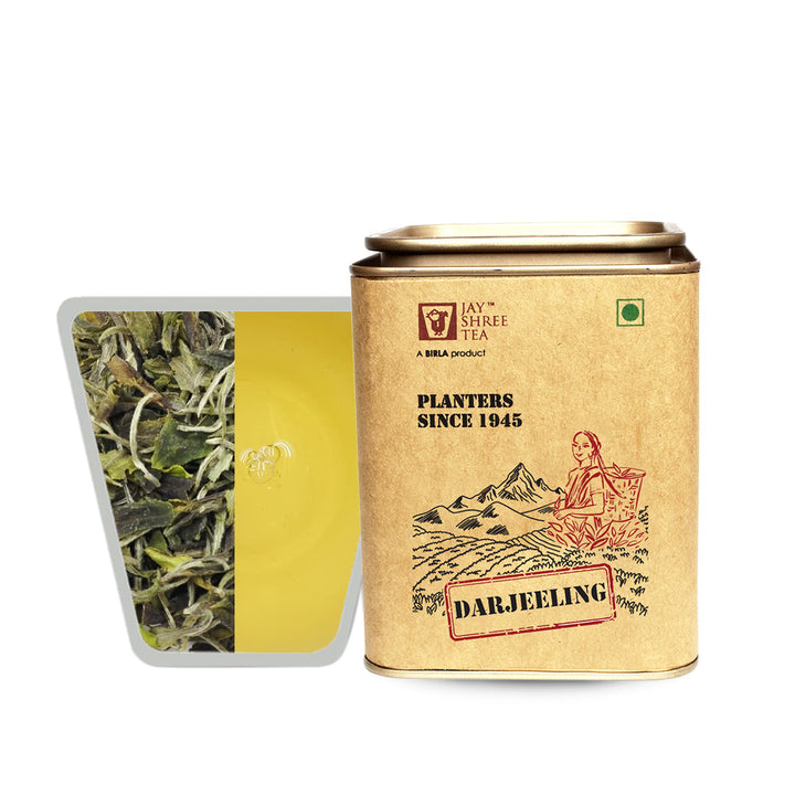 Darjeeling Turzum Spring Petrichor First Flush 2026 – Connoisseur's Reserve