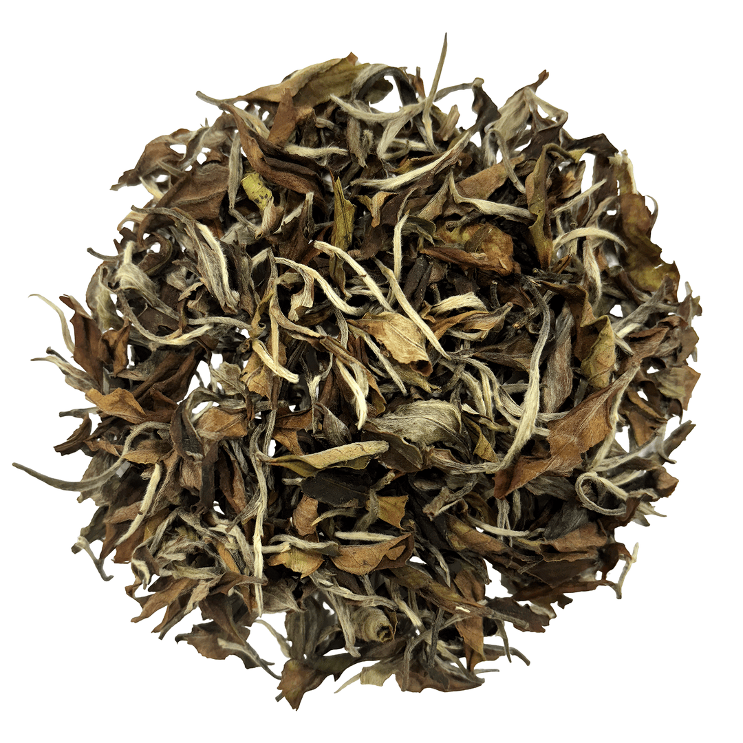 Darjeeling Turzum Bai Mu Dan Styled White Tea 2025