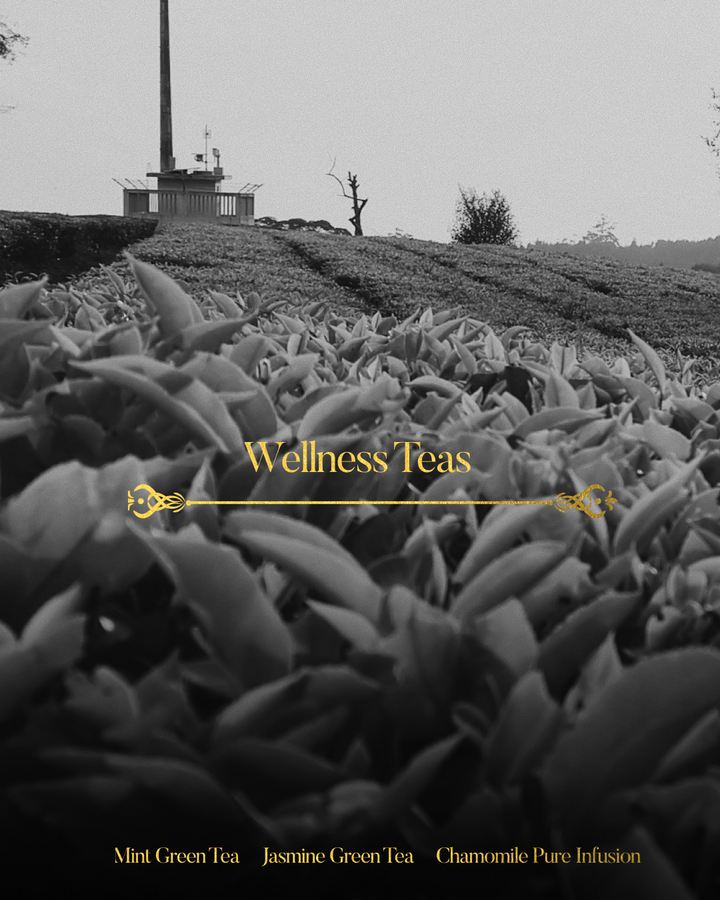 Planter's Reserve Gift Set | Wellness