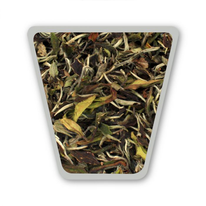 Darjeeling Turzum Monsoon Baimudan Style White Tea 2024 (Limited Edition)