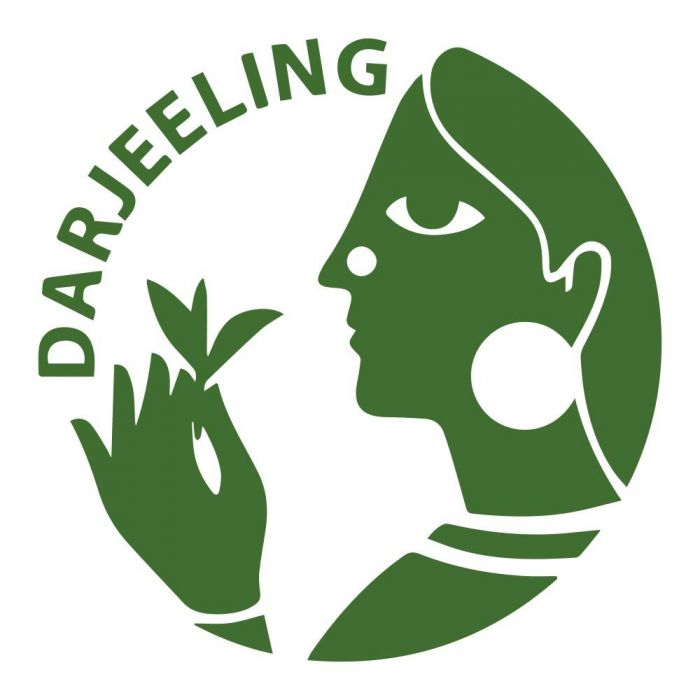Darjeeling Turzum Monsoon Handrolled Green Oolong Tea 2024 (Limited Edition)