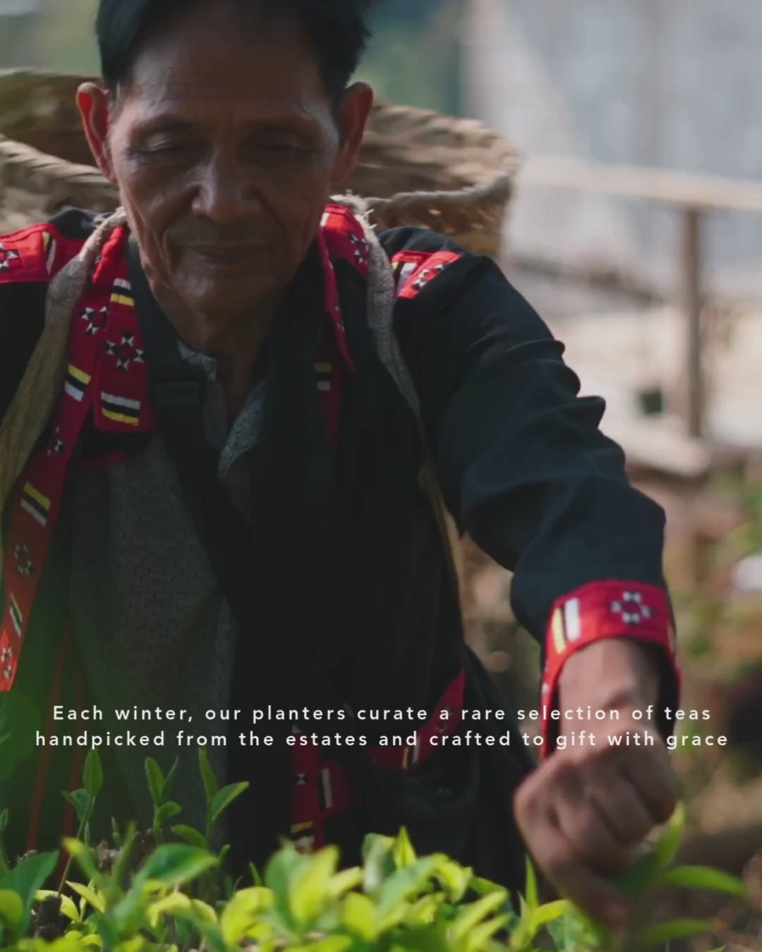 Planter's Reserve Gift Set | Wellness