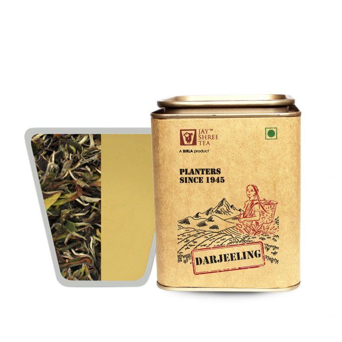 Darjeeling Turzum Monsoon Baimudan Style White Tea 2024 (Limited Edition)